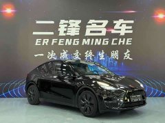 Tesla Model Y Rear-Wheel Drive - ფოტო 3