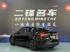 Tesla Model Y Rear-Wheel Drive - ფოტო 6