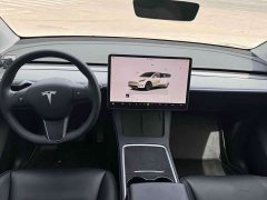 Tesla Model Y Rear-Wheel Drive - ფოტო 7