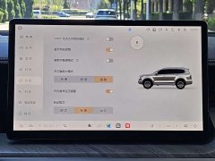 Tank 500 3.0T Business Edition Landscape Version 5-Seater - ფოტო 17