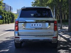 Tank 500 3.0T Business Edition Landscape Version 5-Seater - ფოტო 5