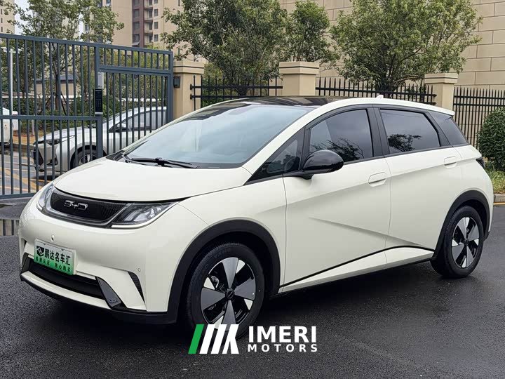 BYD Dolphin 420km Fashion Edition - ავტომობილი ჩინეთიდან