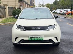 BYD Dolphin 420km Fashion Edition - ფოტო 2