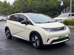 BYD Dolphin 420km Fashion Edition - ფოტო 3