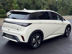 BYD Dolphin 420km Fashion Edition - ფოტო 9