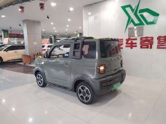 Geely Panda 2024 200km Panda Knight - ფოტო 12