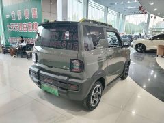 Geely Panda 2024 200km Panda Knight - ფოტო 13
