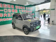 Geely Panda 2024 200km Panda Knight - ფოტო 4