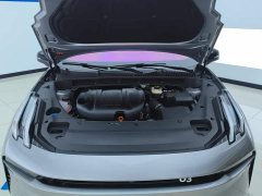 Lynk & Co Geely Lynk & Co 03 1.5T DCT Halo - ფოტო 10