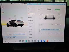 Nio Lerado L60 2024 60kWh Rear-Wheel Drive - ფოტო 12