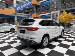 Haval M6 PLUS 1.5T DCT Luxury Smart Connected Edition - ფოტო 6