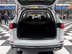 Haval M6 PLUS 1.5T DCT Luxury Smart Connected Edition - ფოტო 8