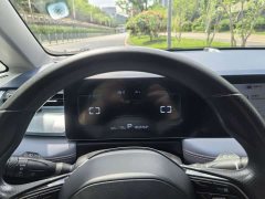 Geely Geometry E Firefly 401KM Linglong Tiger 4-Seater - ფოტო 20