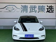 Tesla Model Y 2024 Long Range All-Wheel Drive - ფოტო 3