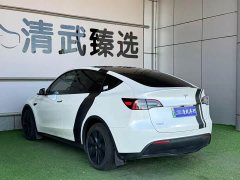 Tesla Model Y 2024 Long Range All-Wheel Drive - ფოტო 8
