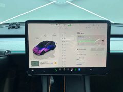 Tesla Model Y Rear-Wheel Drive - ფოტო 12