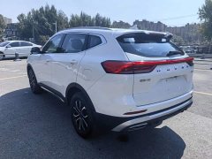 Haval H6 National Trend Edition 1.5T Automatic Urban Version - ფოტო 6