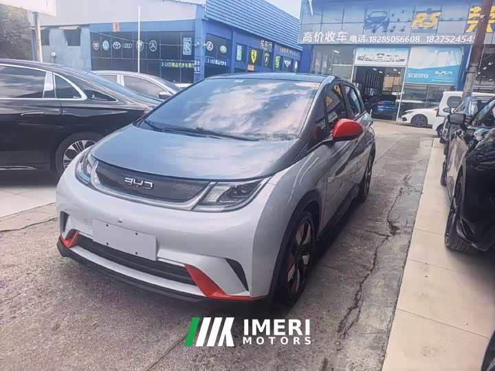 BYD Dolphin 2023 420km Fashion Edition - ავტომობილი ჩინეთიდან
