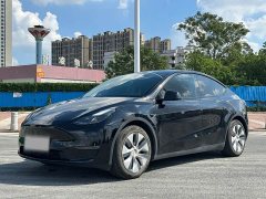 Tesla Model Y Standard Range RWD - ფოტო 1