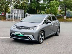 BYD Dolphin 420km Freedom Edition - ფოტო 1