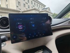 BYD Dolphin 420km Freedom Edition - ფოტო 16