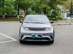BYD Dolphin 420km Freedom Edition - ფოტო 2