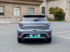 BYD Dolphin 420km Freedom Edition - ფოტო 5