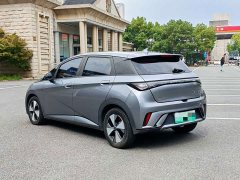 BYD Dolphin 420km Freedom Edition - ფოტო 6