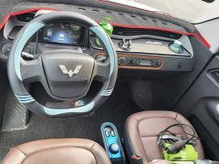 Wuling Hongguang MINIEV Zizai Edition LFP Battery - ფოტო 12