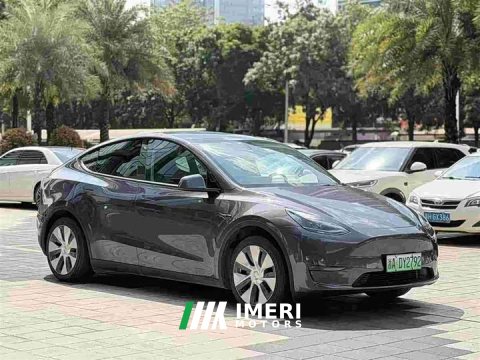 2021 Tesla Model Y Standard Range RWD - ავტომობილი ჩინეთიდან