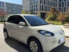 Wuling Binguo 203km Light Enjoy Edition - ფოტო 3