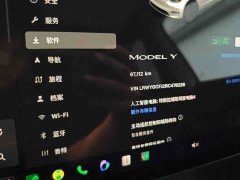 Tesla Model Y 2022 Rear-Wheel Drive - ფოტო 9