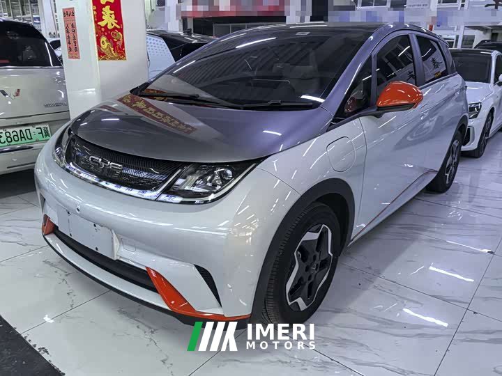 BYD Dolphin 405km Fashion Edition - ავტომობილი ჩინეთიდან