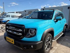 Great Wall Dachshund Facelift 2.0T DCT Four-wheel Drive Xiaotian Dog Edition - ფოტო 1