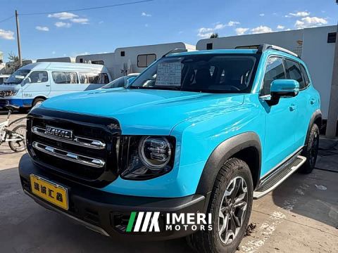 2021 Great Wall Dachshund Facelift 2.0T DCT Four-wheel Drive Xiaotian Dog Edition - ავტომობილი ჩინეთიდან