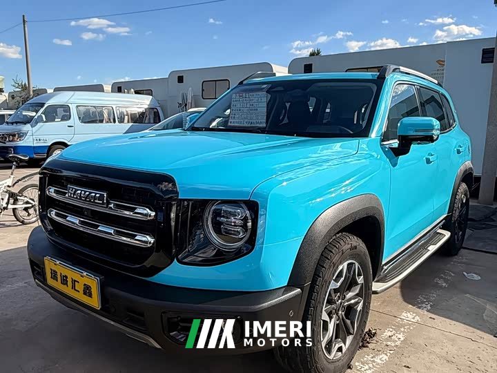 Great Wall Dachshund Facelift 2.0T DCT Four-wheel Drive Xiaotian Dog Edition