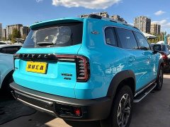 Great Wall Dachshund Facelift 2.0T DCT Four-wheel Drive Xiaotian Dog Edition - ფოტო 4