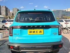 Great Wall Dachshund Facelift 2.0T DCT Four-wheel Drive Xiaotian Dog Edition - ფოტო 5