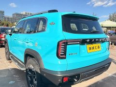 Great Wall Dachshund Facelift 2.0T DCT Four-wheel Drive Xiaotian Dog Edition - ფოტო 6