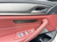 BMW 5 Series Facelift 530Li Premier M Sport Package - ფოტო 12