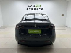 Tesla Model Y Rear-Wheel Drive - ფოტო 14