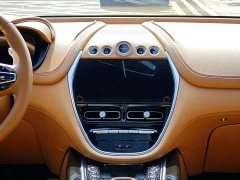 Aston Martin DBX 2020 4.0T V8 1913 Launch Limited Edition - ფოტო 9