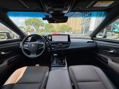 Lexus ES 260 Excellence Edition - ფოტო 8