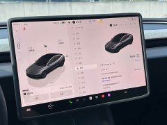 Tesla Model 3 2023 Rear-Wheel Drive - ფოტო 12