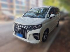 Beijing Ruisheng Wangpai M7 2.0L Manual Long Wheelbase Luxury 7-Seater - ფოტო 1
