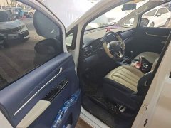 Beijing Ruisheng Wangpai M7 2.0L Manual Long Wheelbase Luxury 7-Seater - ფოტო 12