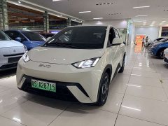 BYD Seagull 2023 Freedom Edition - ფოტო 1