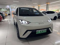 BYD Seagull 2023 Freedom Edition - ფოტო 2