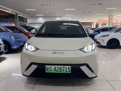 BYD Seagull 2023 Freedom Edition - ფოტო 3