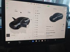 Tesla Model Y Rear-Wheel Drive - ფოტო 4